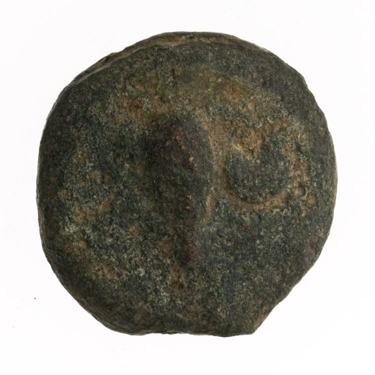 RRC 18/6, аверс, American Numismatic Society (ans)