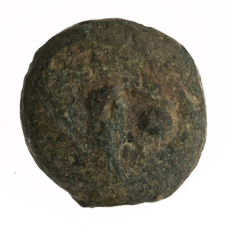 RRC 18/6, реверс, American Numismatic Society (ans)