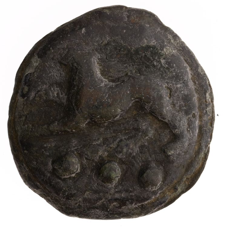 RRC 24/6a, аверс, American Numismatic Society (ans)