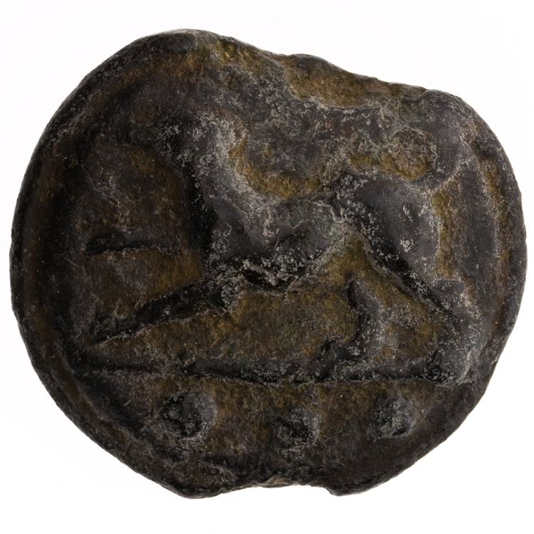 RRC 24/6a, аверс, American Numismatic Society (ans)