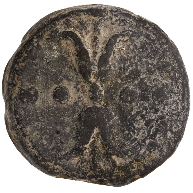 RRC 21/3, аверс, American Numismatic Society (ans)