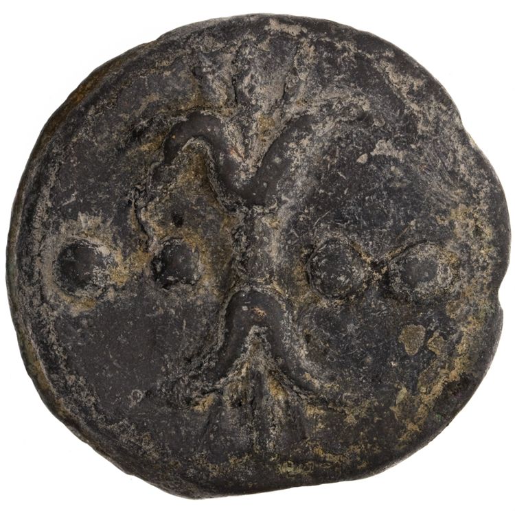 RRC 21/3, реверс, American Numismatic Society (ans)