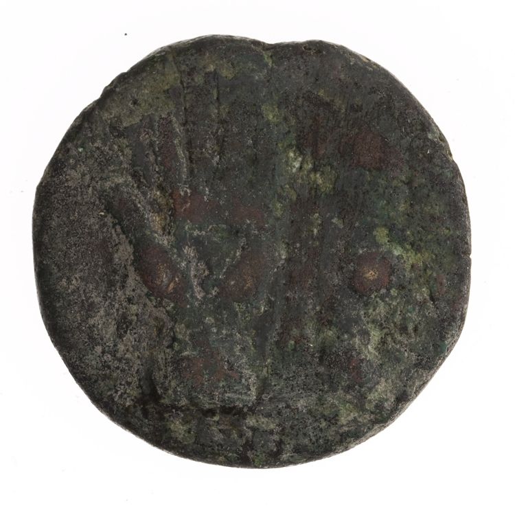 RRC 21/4, аверс, American Numismatic Society (ans)