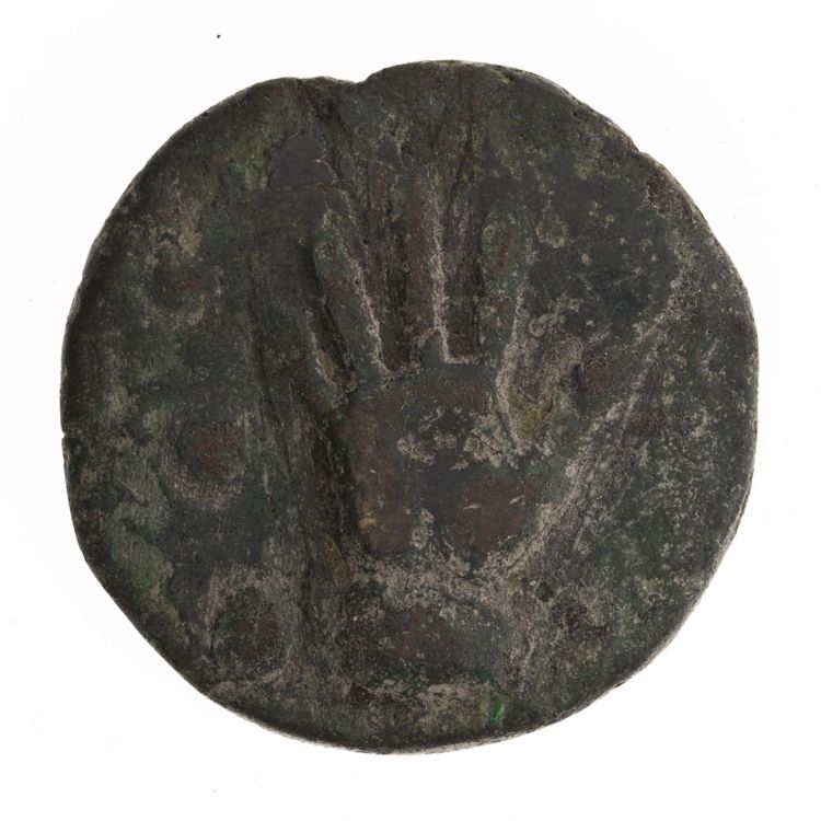 RRC 21/4, реверс, American Numismatic Society (ans)