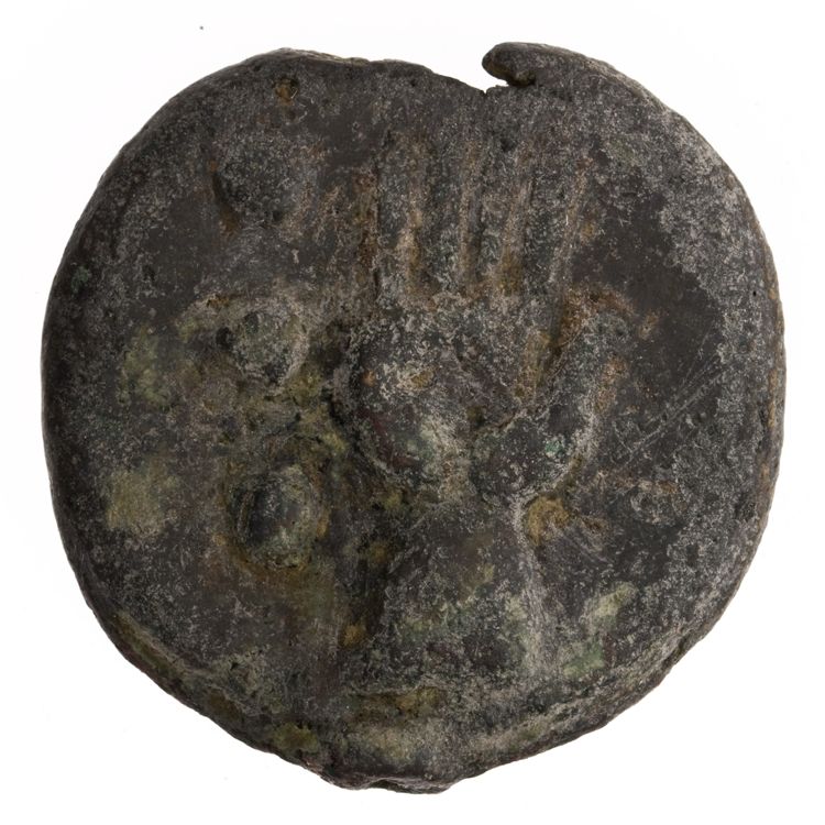 RRC 21/4, реверс, American Numismatic Society (ans)