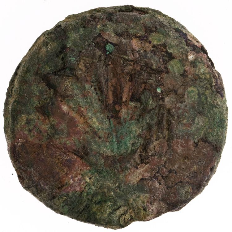RRC 21/5, реверс, American Numismatic Society (ans)