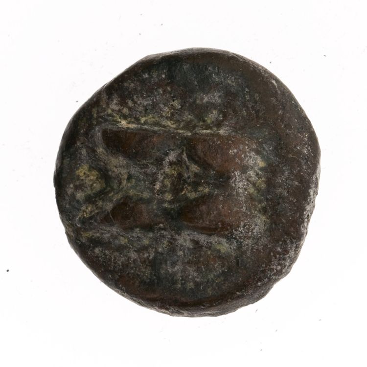 RRC 21/6, реверс, American Numismatic Society (ans)