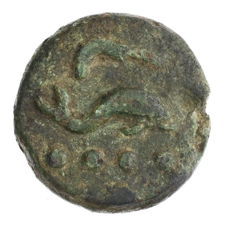 RRC 25/6, аверс, American Numismatic Society (ans)