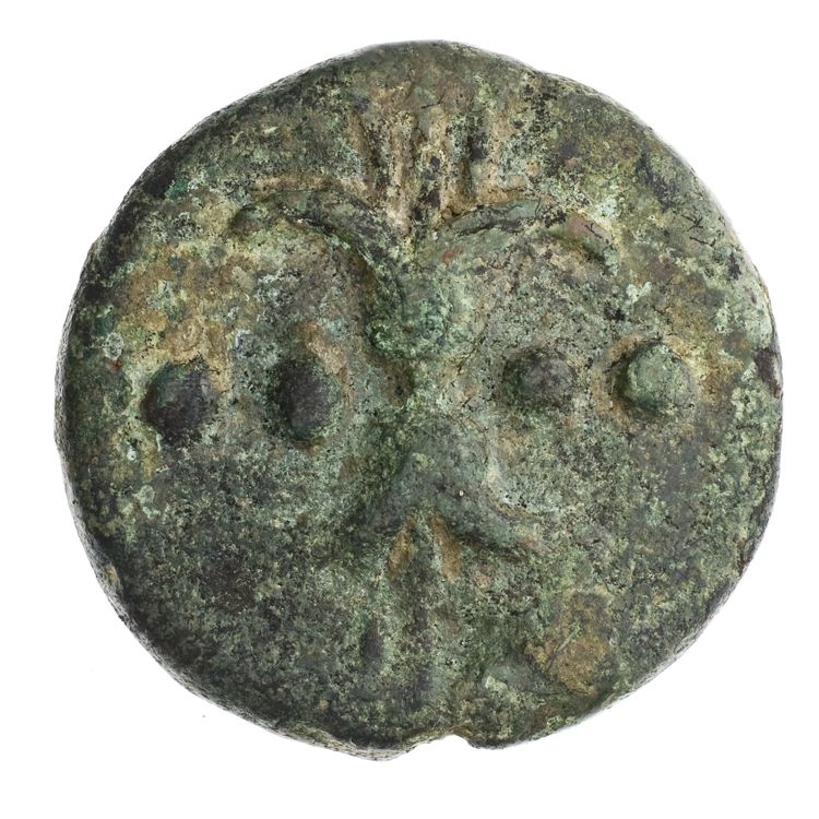 RRC 25/6, реверс, American Numismatic Society (ans)