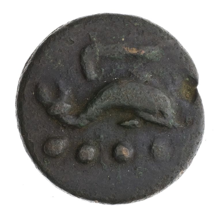 RRC 25/6, аверс, American Numismatic Society (ans)