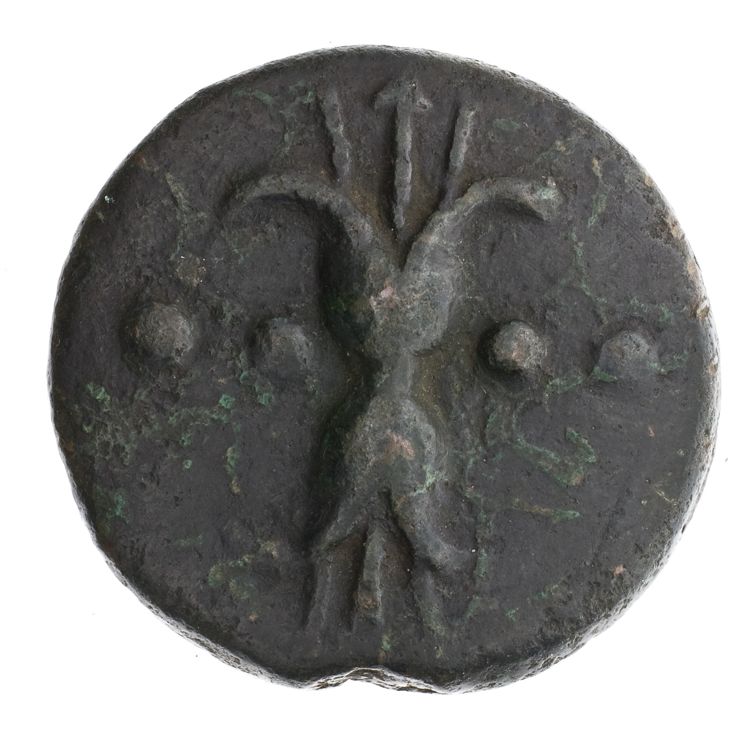RRC 25/6, реверс, American Numismatic Society (ans)
