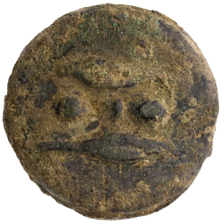 RRC 25/7, аверс, American Numismatic Society (ans)