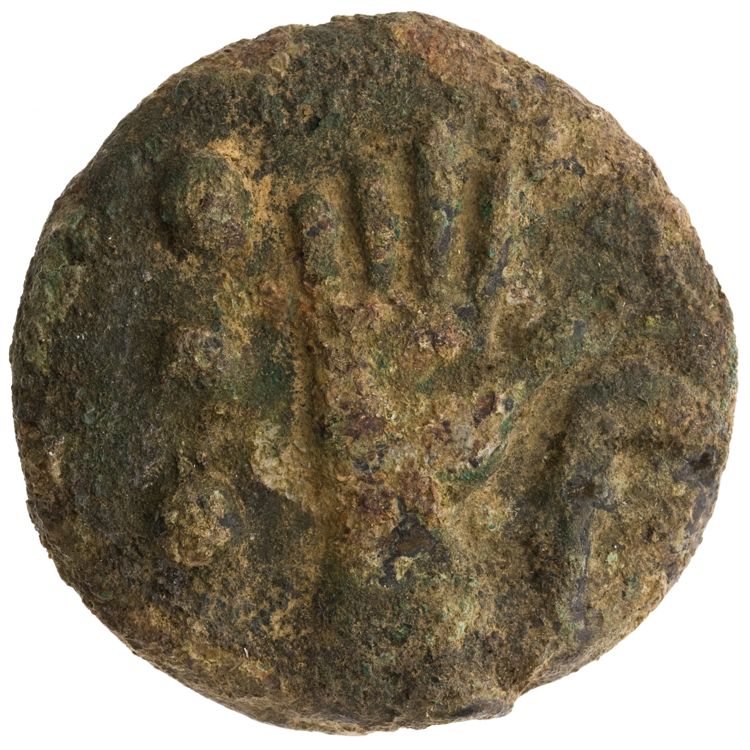 RRC 25/7, реверс, American Numismatic Society (ans)