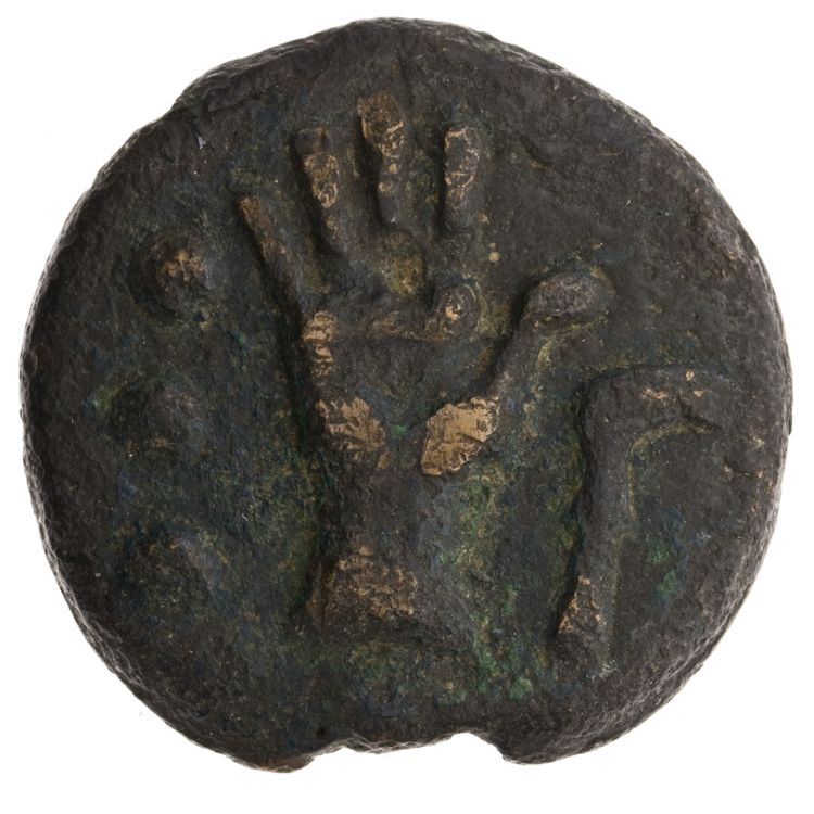 RRC 25/7, реверс, American Numismatic Society (ans)