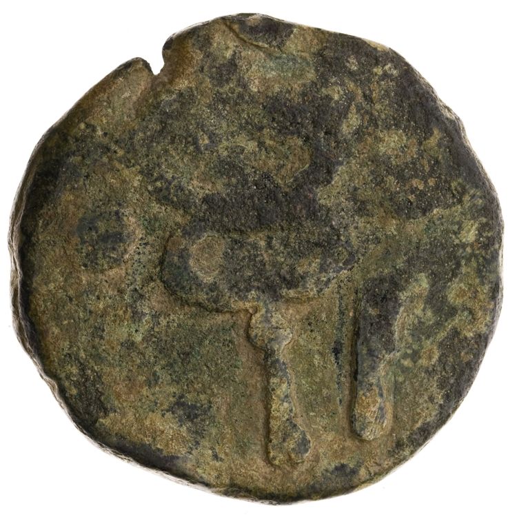 RRC 25/8, реверс, American Numismatic Society (ans)