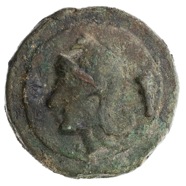 RRC 27/5, reverse, American Numismatic Society (ans)