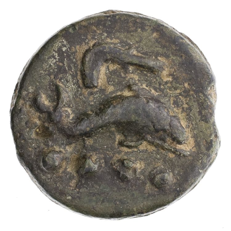 RRC 25/6, аверс, American Numismatic Society (ans)