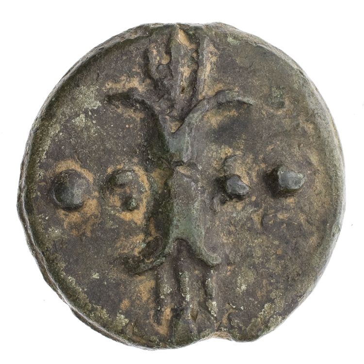 RRC 25/6, реверс, American Numismatic Society (ans)