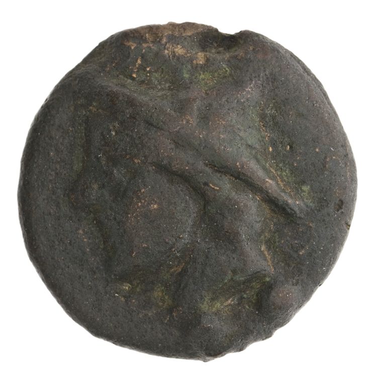 RRC 35/5, аверс, American Numismatic Society (ans)