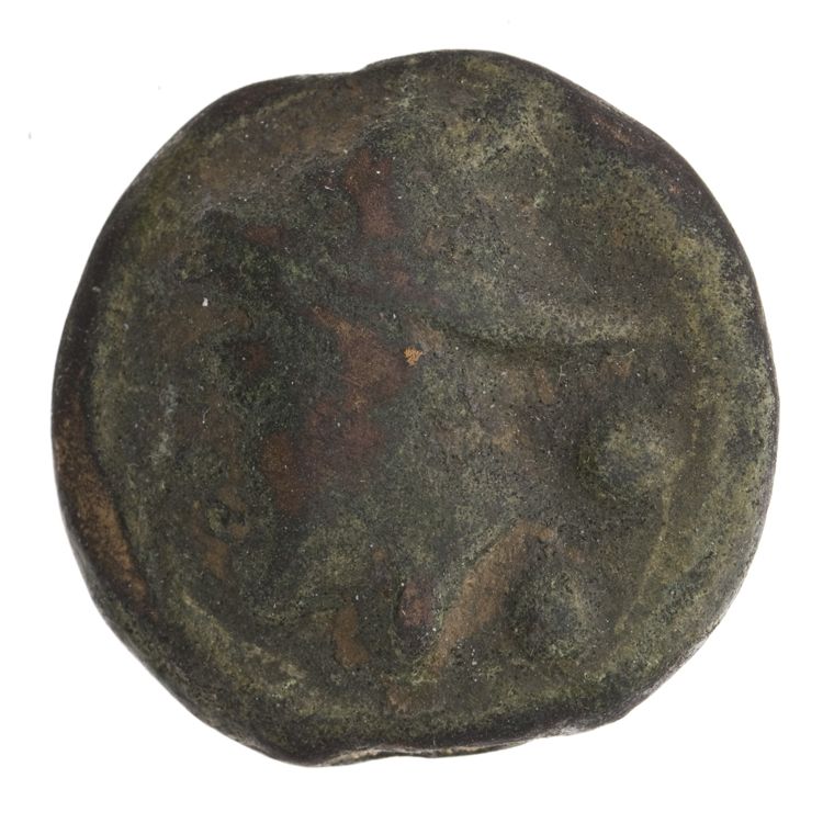 RRC 35/5, аверс, American Numismatic Society (ans)