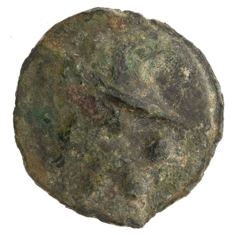 RRC 35/5, аверс, American Numismatic Society (ans)