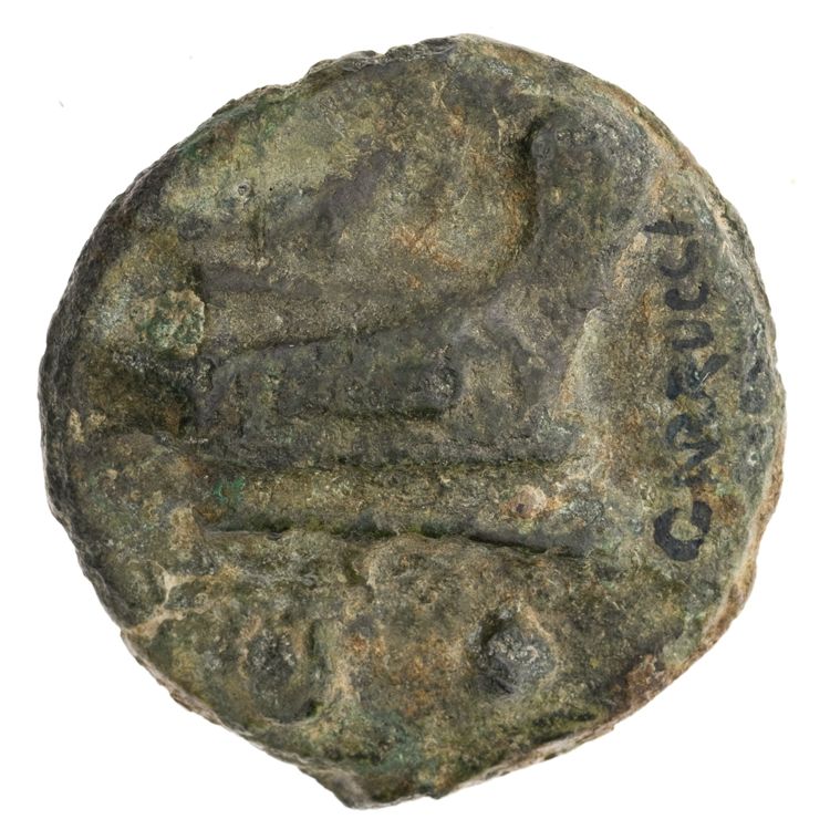 RRC 35/5, реверс, American Numismatic Society (ans)