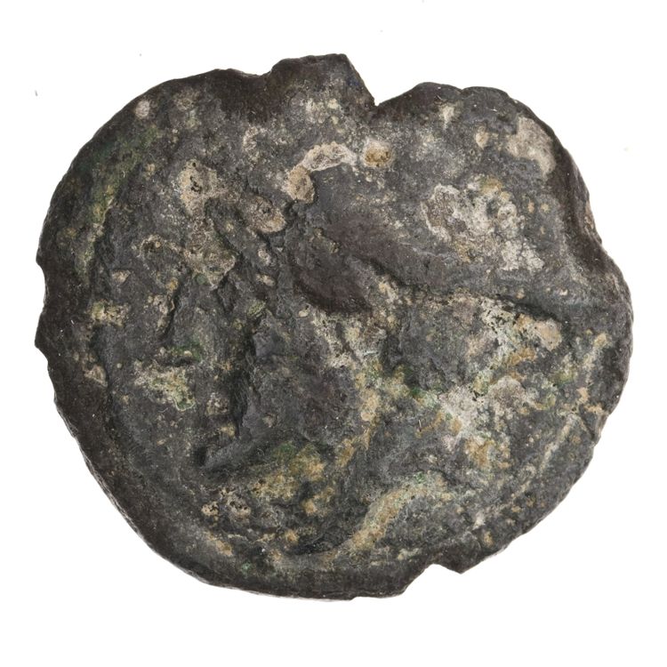 RRC 35/5, аверс, American Numismatic Society (ans)