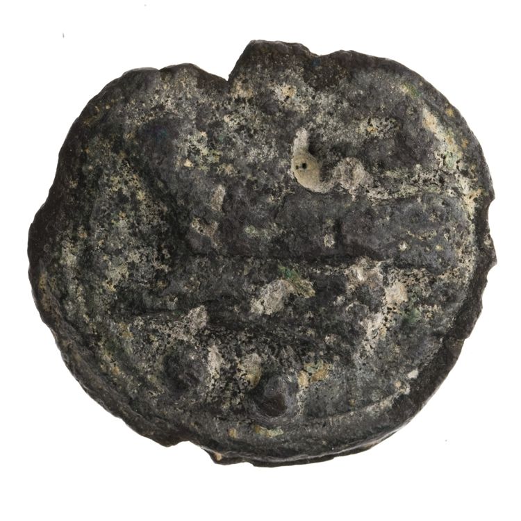RRC 35/5, реверс, American Numismatic Society (ans)