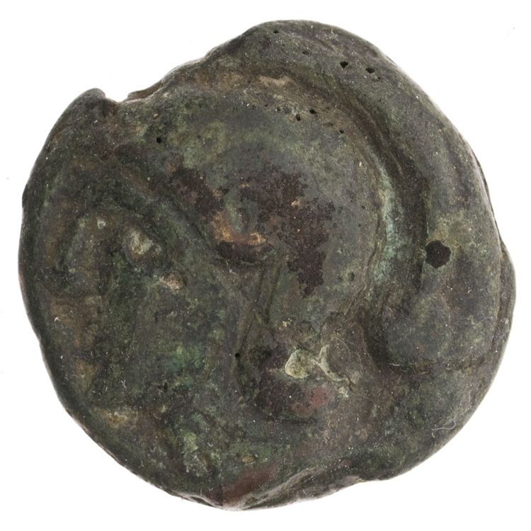 RRC 35/6, аверс, American Numismatic Society (ans)