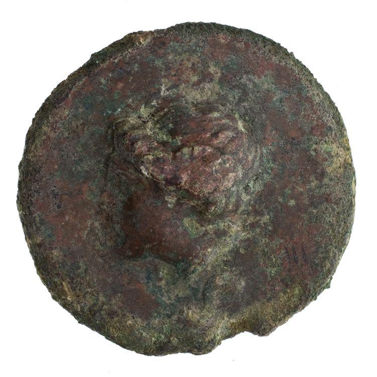 RRC 14/2, reverse, American Numismatic Society (ans)