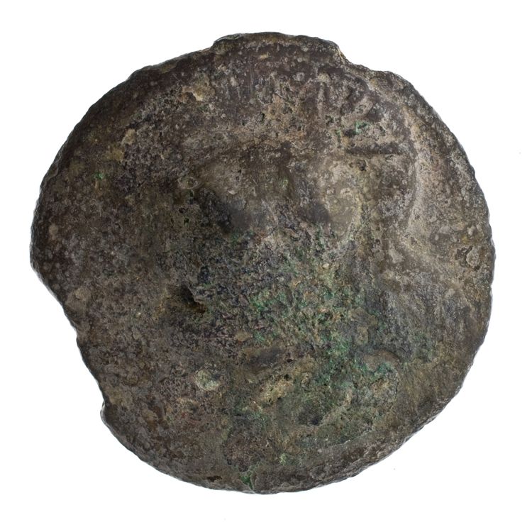 RRC 14/2, obverse, American Numismatic Society (ans)