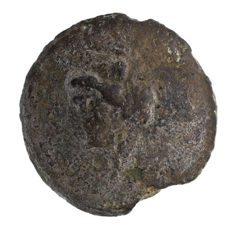 RRC 14/2, reverse, American Numismatic Society (ans)