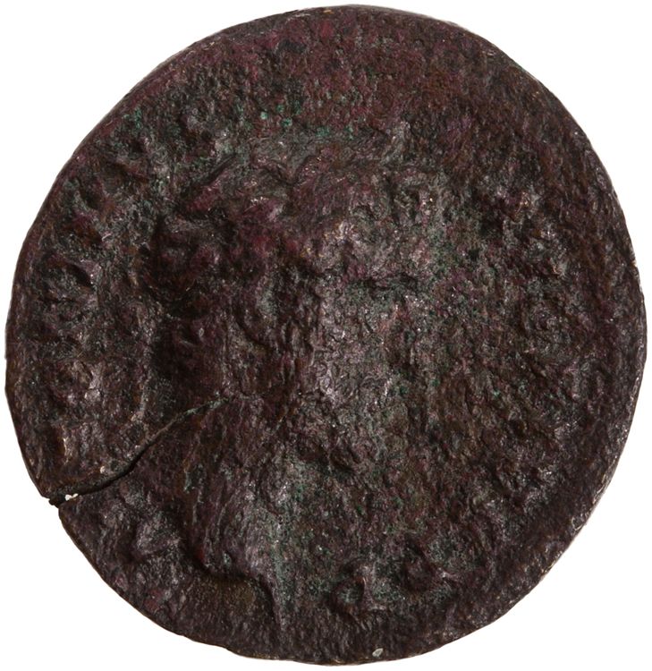 RIC III Antoninus Pius 570, аверс, American Numismatic Society (ans)