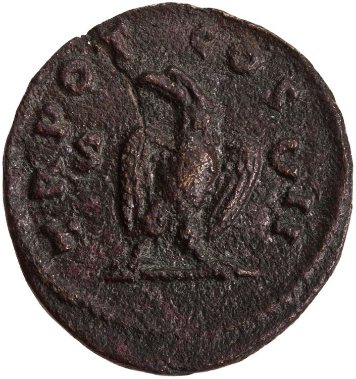 RIC III Antoninus Pius 570, реверс, American Numismatic Society (ans)