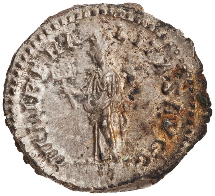 реверс RIC IV Caracalla 131B