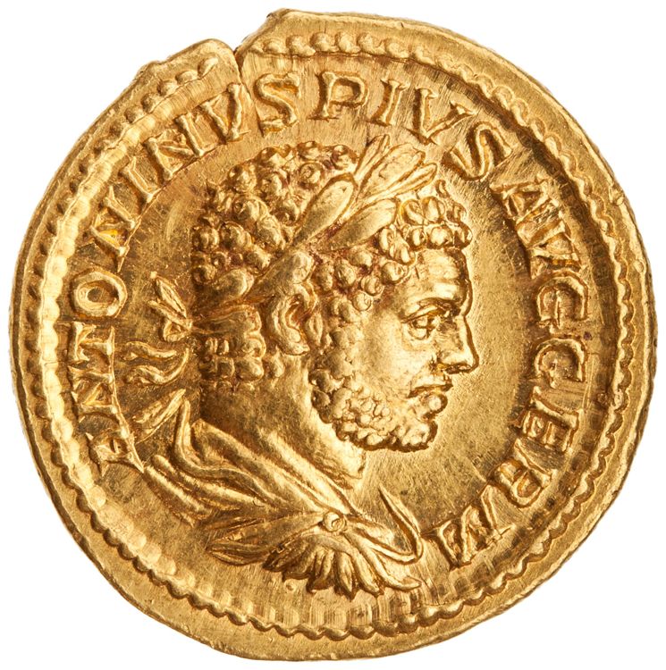 RIC IV Caracalla 248, аверс, American Numismatic Society (ans)