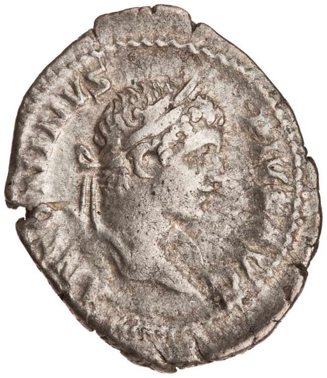 RIC IV Caracalla 87A, аверс, American Numismatic Society (ans)