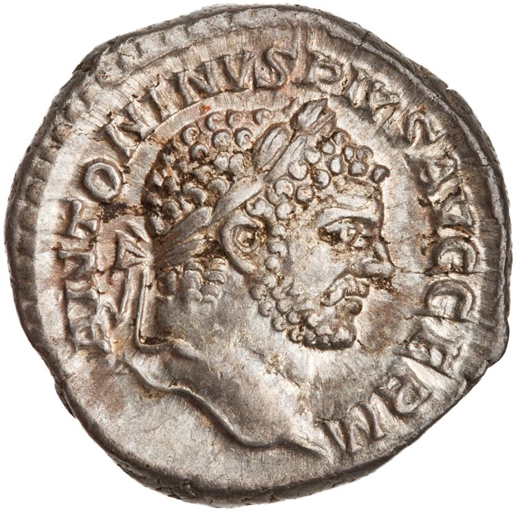RIC IV Caracalla 299E, аверс, American Numismatic Society (ans)