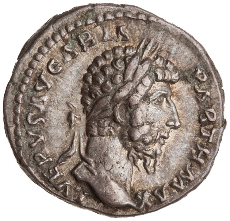 RIC III Marcus Aurelius 555, аверс, American Numismatic Society (ans)