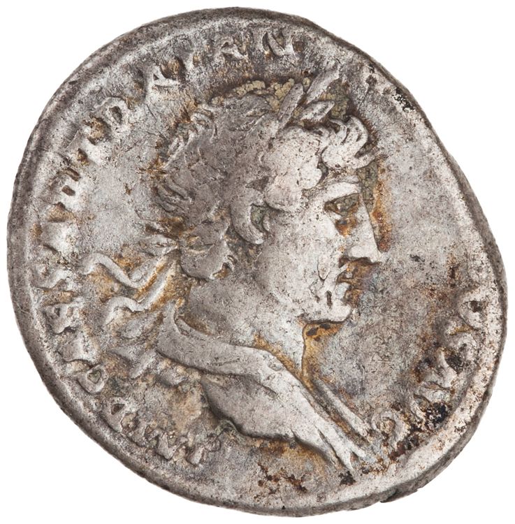 RIC II Hadrian 77b, аверс, American Numismatic Society (ans)