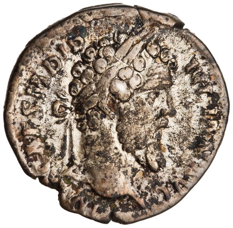 RIC IV Didius Julianus 1 (denarius), аверс, American Numismatic Society (ans)