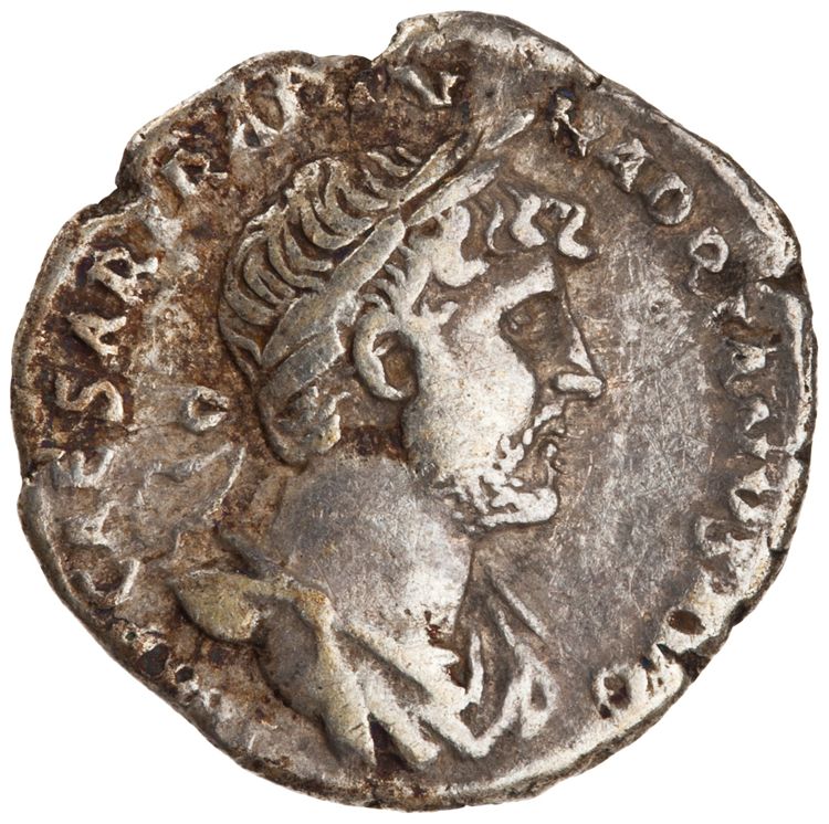 RIC II Hadrian 101b, аверс, American Numismatic Society (ans)