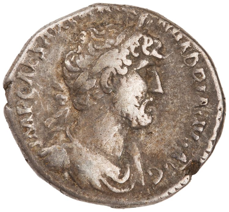 RIC II Hadrian 101b, аверс, American Numismatic Society (ans)