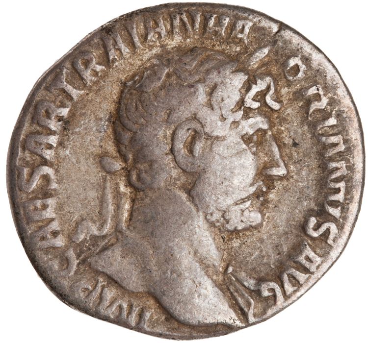 RIC II Hadrian 101b, аверс, American Numismatic Society (ans)