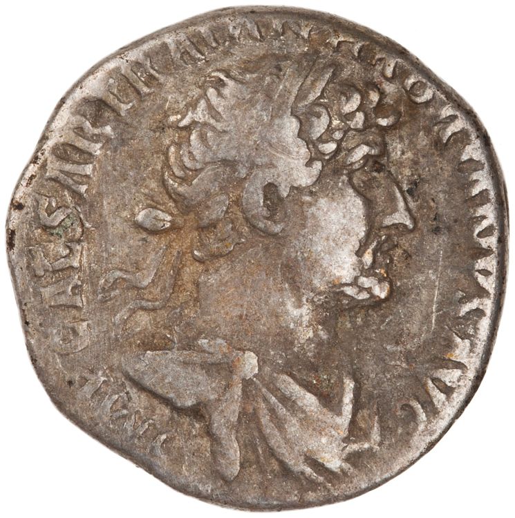 RIC II Hadrian 101b, аверс, American Numismatic Society (ans)
