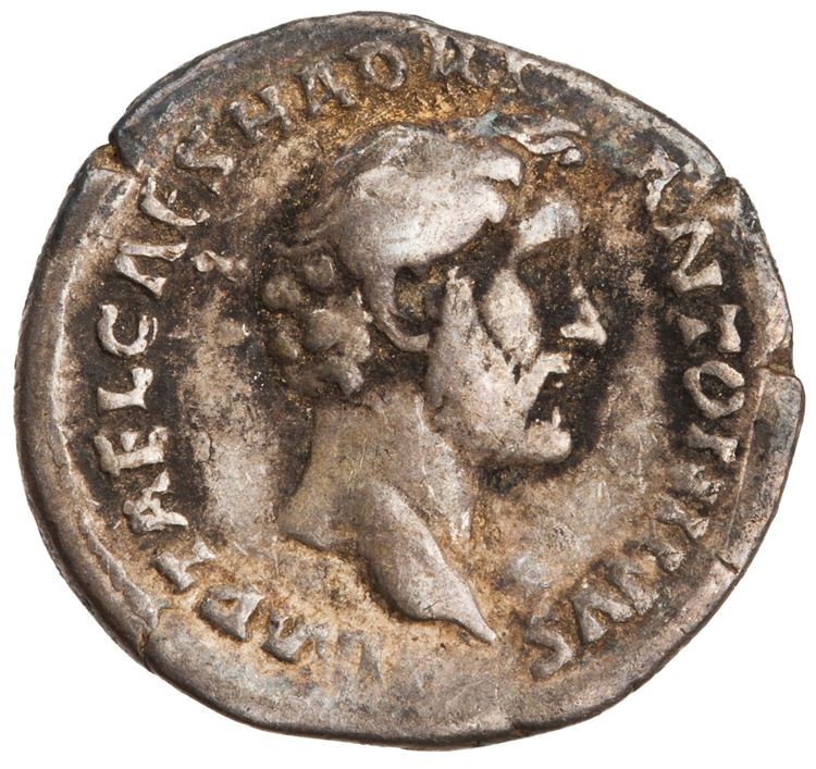 RIC III Antoninus Pius 12a, аверс, American Numismatic Society (ans)