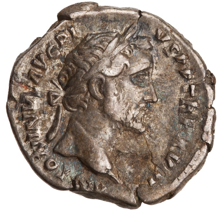 RIC III Antoninus Pius 239, аверс, American Numismatic Society (ans)