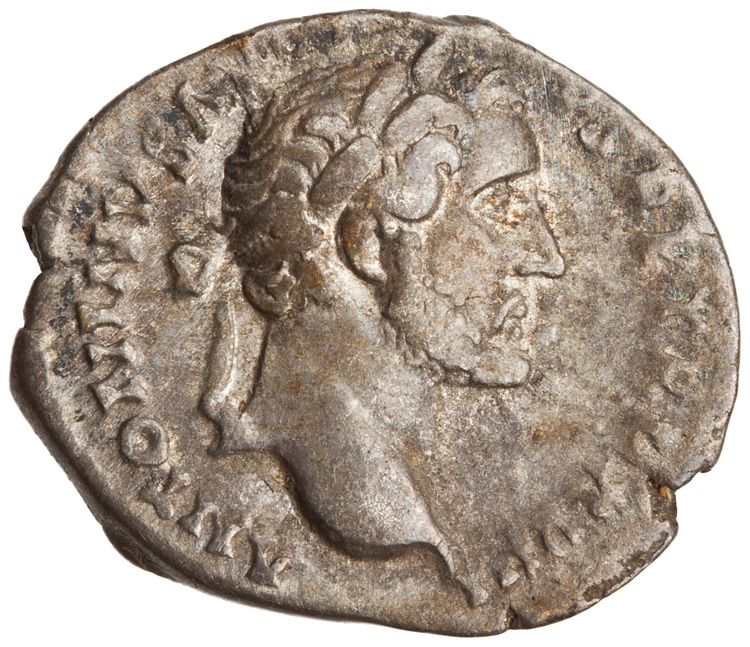 RIC III Antoninus Pius 239, аверс, American Numismatic Society (ans)