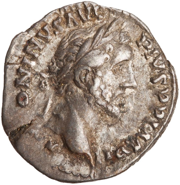 RIC III Antoninus Pius 250, аверс, American Numismatic Society (ans)