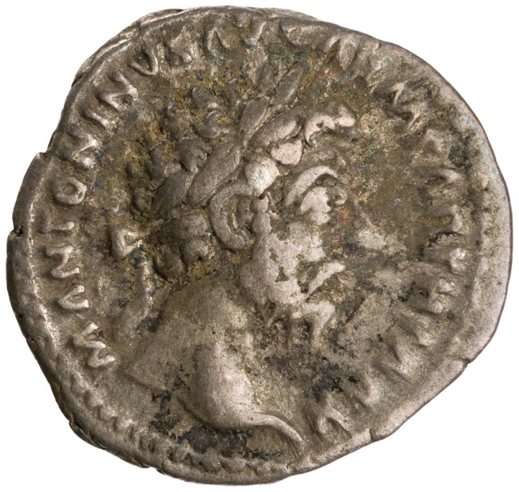 RIC III Marcus Aurelius 164, аверс, American Numismatic Society (ans)